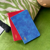 Daily Overcomer Journal