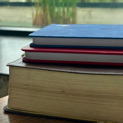 Daily Overcomer Journal