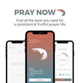 Pray Now App Subscription