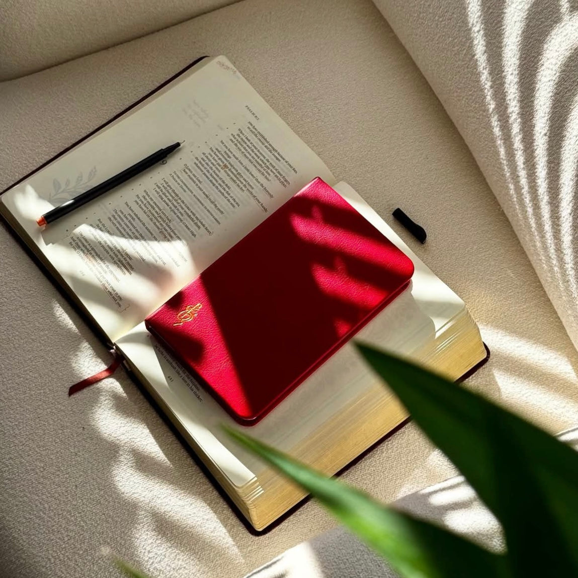 Daily Overcomer Journal