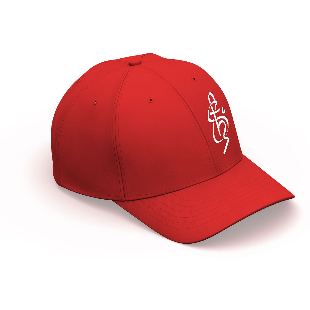 Shyju Mathew Logo Hat